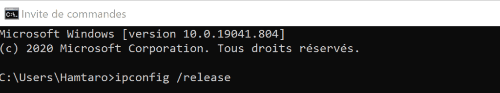 Cmd Ipconfig Release