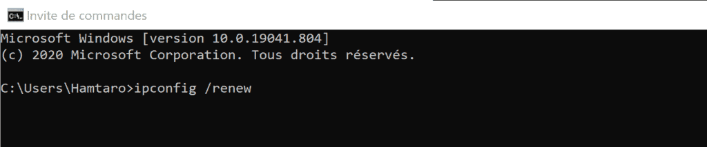 Cmd Ipconfig Renew